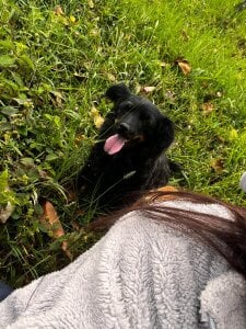 Saelivrae Travel companions Immagine  3