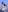 Cruel_Alice Alice in Winterwonderland 사진 2