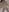 NATINATU252525 最近の体🥰 Pic 2