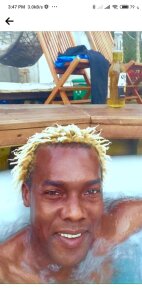 Public de sharpei  2 photos