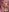 _kalypso_ Pink Pic 5