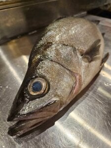 sukebesticks Public Pic 4