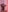 Love_LinesSexy tigress照片 5