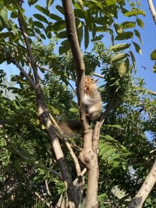 Zdjęcia Sei_room Public:  5