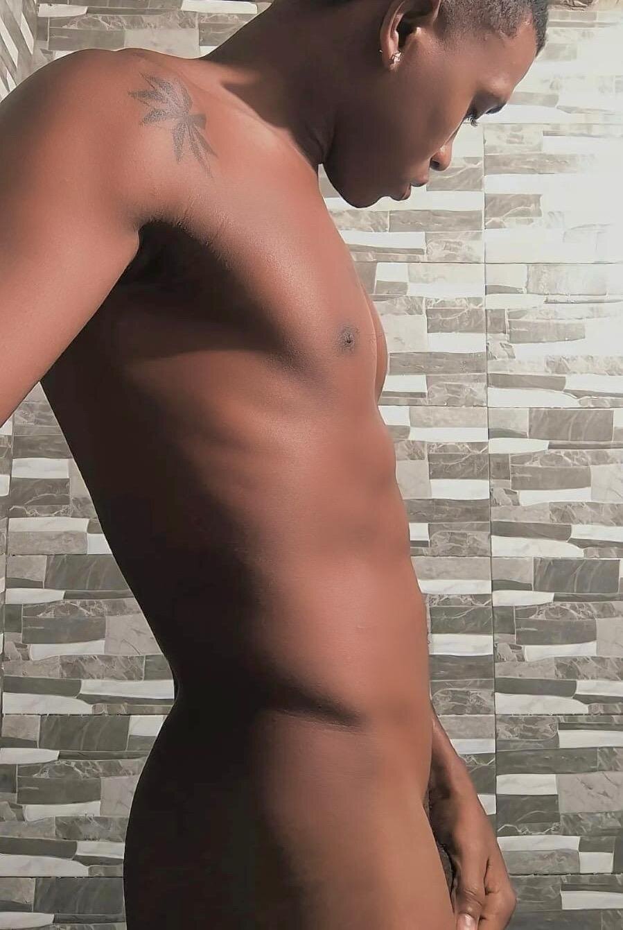 Foto em tendência de hanssmitt 721