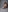 kisaa_alisaaMy photo照片
