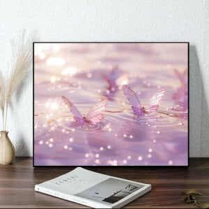 _Dorry_ Public 사진 5