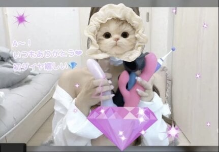 tina_tanの꒰ঌ💎໒꒱･.｡ ｡:*の 4枚の写真