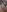 4kfucktoy Tiny girl, fat pussy ♥ Foto 7