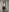 Gabriella_Hot_ 😻💋🔞I seduce you in sexy outfit 😻💋🔞 Pic 2