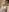 vanda26hot Black Dildo and Facial Pic 8