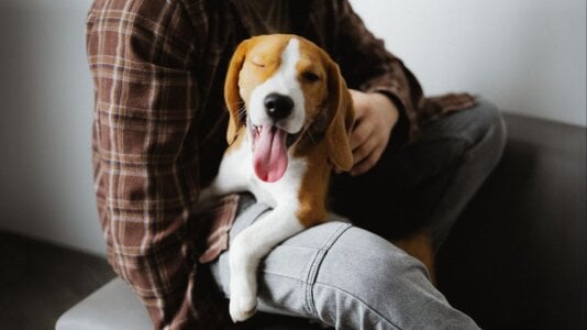 michael_strong1 My happiness 🐶 Pic 5