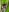 saritha_cute_ Hello, your chic tells you Pic 3