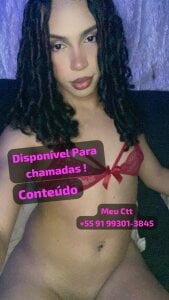 LunaTranss Public Εικόνα 6