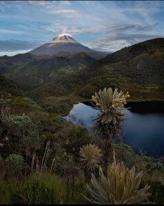 Kayser_hotboy my country _ mi país Pic 8