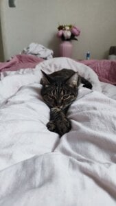 VandaRossiのMy favorite Splyushka😻 Splyushka will be glad of your financial support♥の 8枚の写真