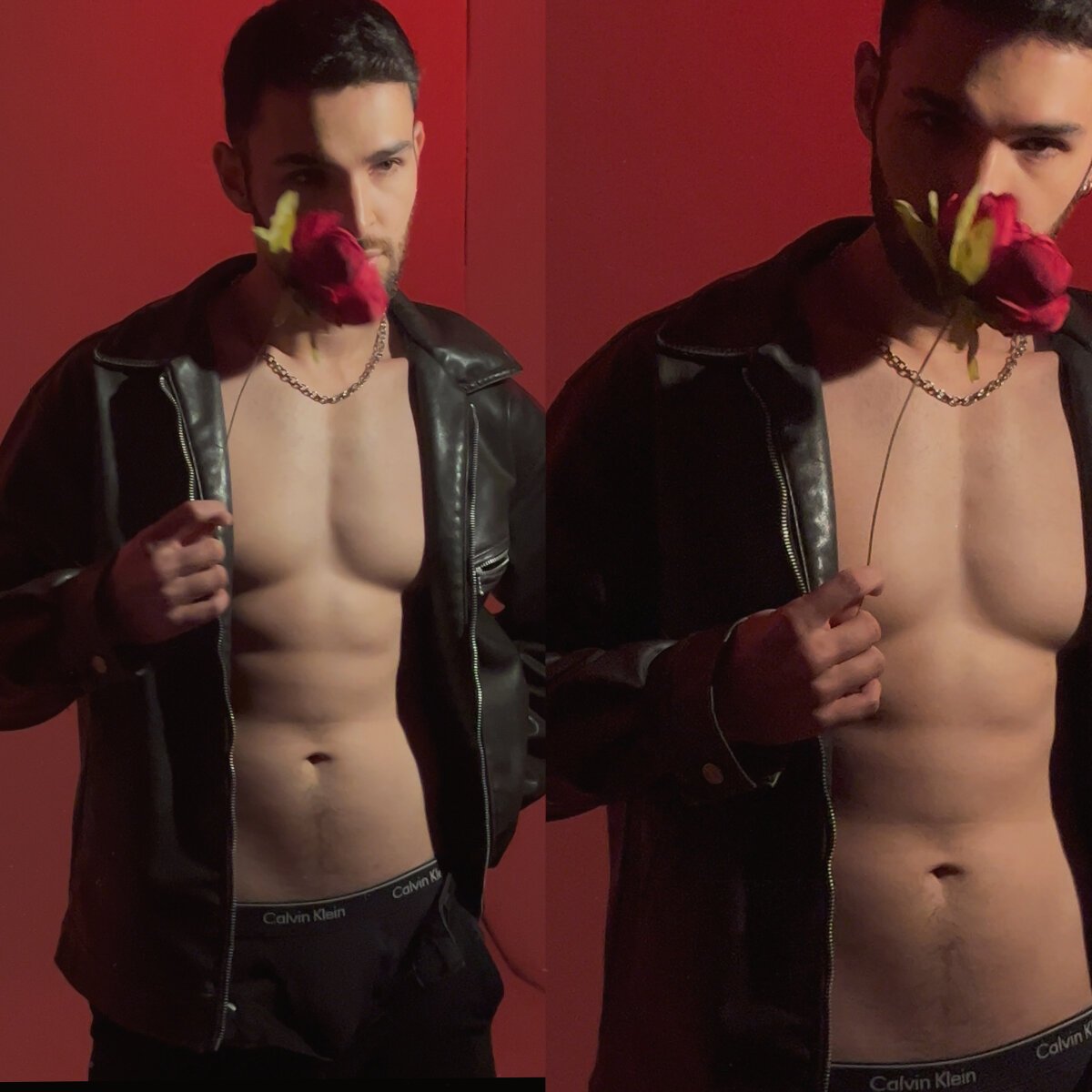 Трендове зображення  1377 Apolo_lux1