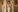 Alissa_S Soft beige Photo 4