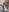 Asian_Asami Naughty in the kitchen 🥰 Photo
