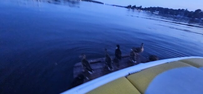 Public od Shunduuu  snímek