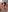 vivid_girls_vg double pleasure Foto