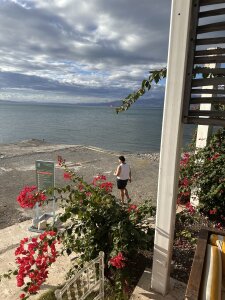 chubbydominican Public Pic 4