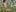 _Soo_dreamy_Oily Breasts + Oily Muscles图片 9