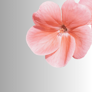 FelicityLaurentLi kullanıcısının Public albümü -  fotoğraf