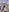 natha_n_andy_anki Nathy naked Pic