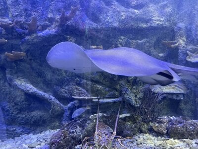 How beautiful nature is🌎 de AresMassimoX  4 photos