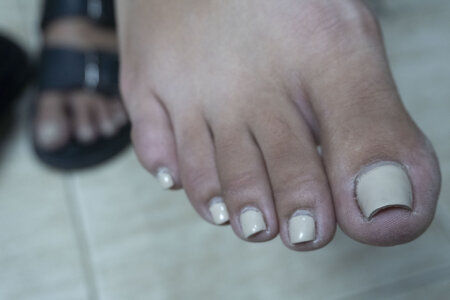 Patitas 1 de misspatitas  3 photos