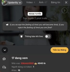 SpiderIily Beacon 사진 4