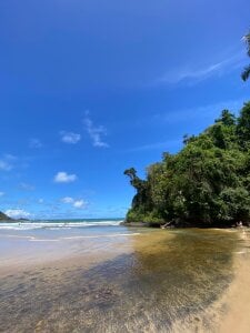 myamillor Public รูป  5