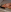MiaAdams21 mia 사진 3