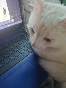 DesireKira My pretty cat 🙀 slika 5