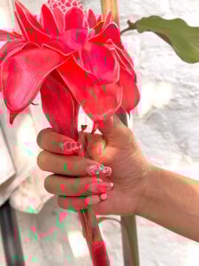 bella_moonlight_cr SWEET FLOWER 🌺 зображення