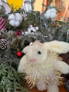 LilyLanes 🎄🤍 Pic 4