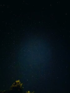 HoneyHaven_の🐾🌙🍃の 2枚の写真