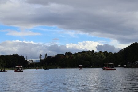 DanniG2000_ 🏞️ 🪿🌿🍃✨️ Pic 6