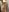 Stella_Blaze Shower show Photo 8