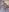 mysterouskat69Hope you like照片 5