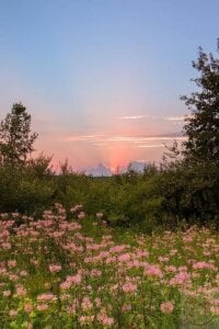 Eva_Meo so beautiful Fotka 2