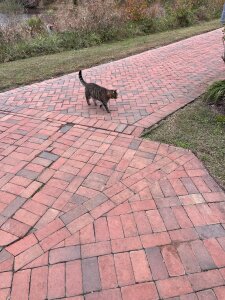 FreirenLover Public صورة واحدة|FreirenLover Public صورتان|FreirenLover Public  5 صور|FreirenLover Public  5 صورة