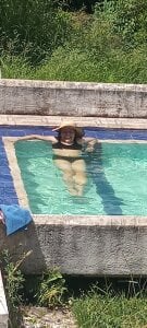 Flor od Luach  4 snímek