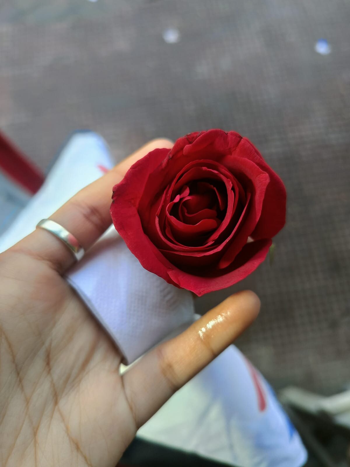 jazro_here 熱門圖片 7484