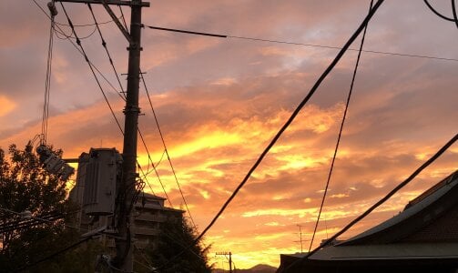 agaupt2 Public 사진 7