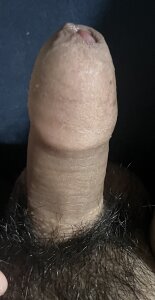 plmqazplmqaza 小 Foto 4