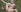 IsabelleEthan Wild and naughty in the forest 💥👀 Pic 6