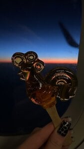 MelissaMelrey travel зображення