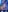 Kendal_Slow Neon Fantasy Photo